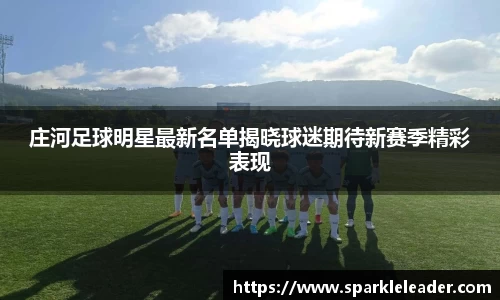 庄河足球明星最新名单揭晓球迷期待新赛季精彩表现